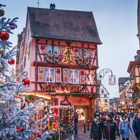 Le Rosacker - Proche Centre Ville Et Gare - Terrasse - Parking Gratuit 2 Places - 2 Chambres - 2 Salles De Bain - Netflix Colmar Zewnętrze zdjęcie