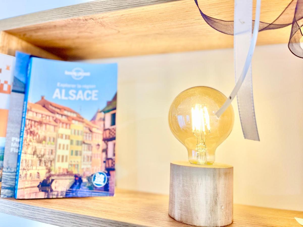 Le Rosacker - Proche Centre Ville Et Gare - Terrasse - Parking Gratuit 2 Places - 2 Chambres - 2 Salles De Bain - Netflix Colmar Zewnętrze zdjęcie